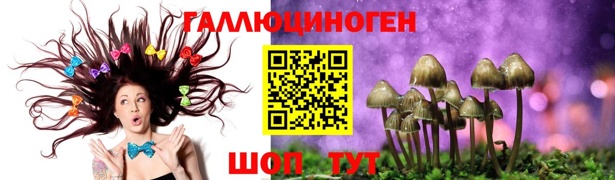 Галлюциногенные грибы Psilocybine cubensis  Вход с VPN  Орехово-Зуево 